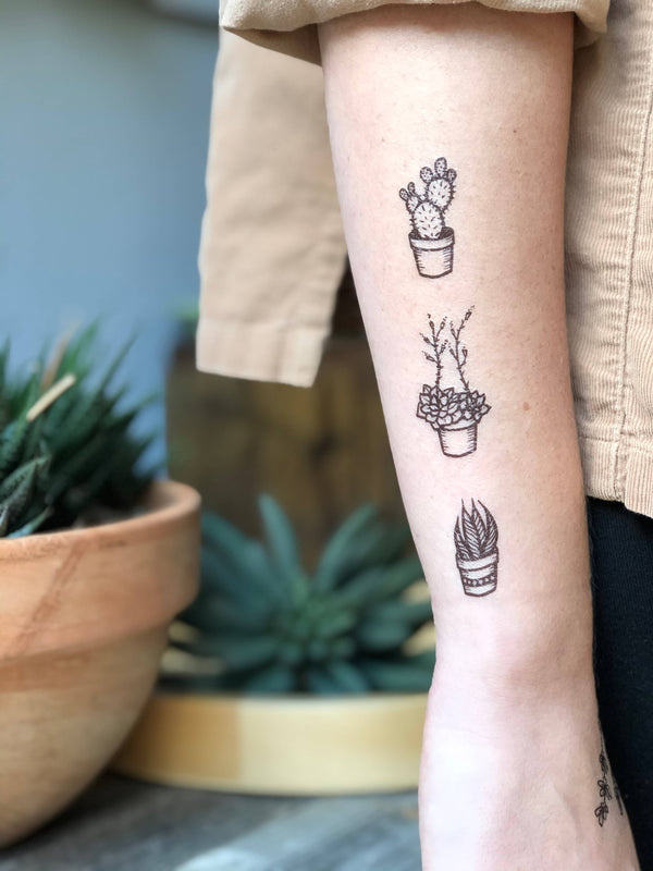 Potted Cactus Temporary Tattoo