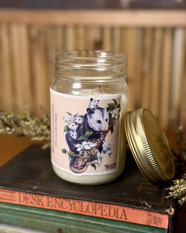 Opossums in the Dogwood Signature Soy Candle
