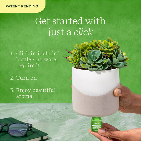 Plant Diffuser - Succulent - Two Toned