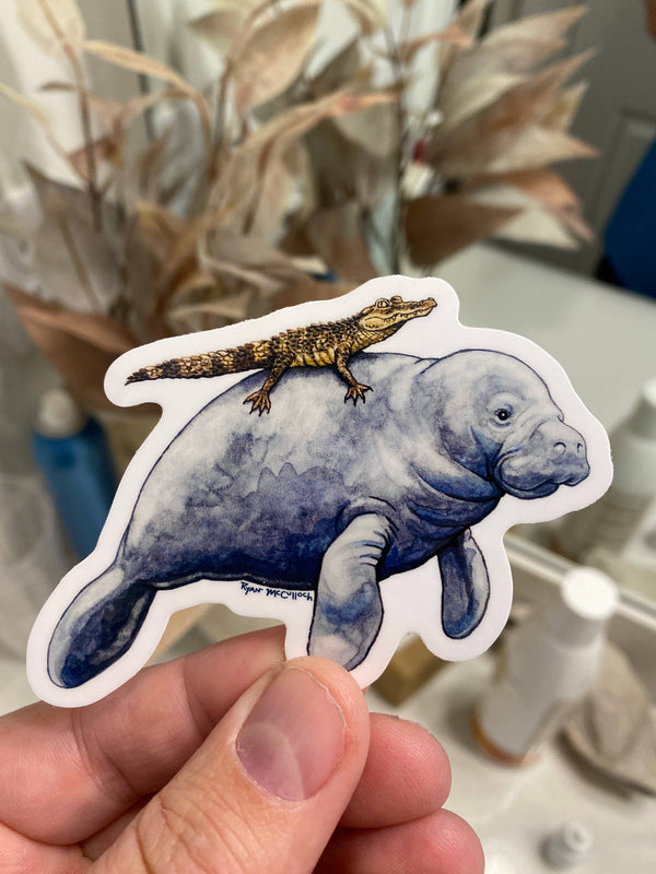 VINYL STICKER: Florida Hitchhike (Manatee and Alligator)