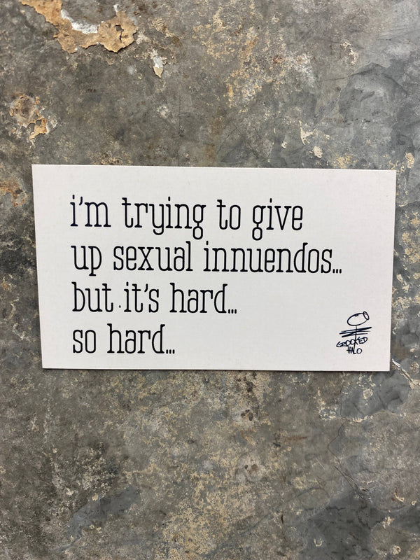 Sexual Innuendos Magnet
