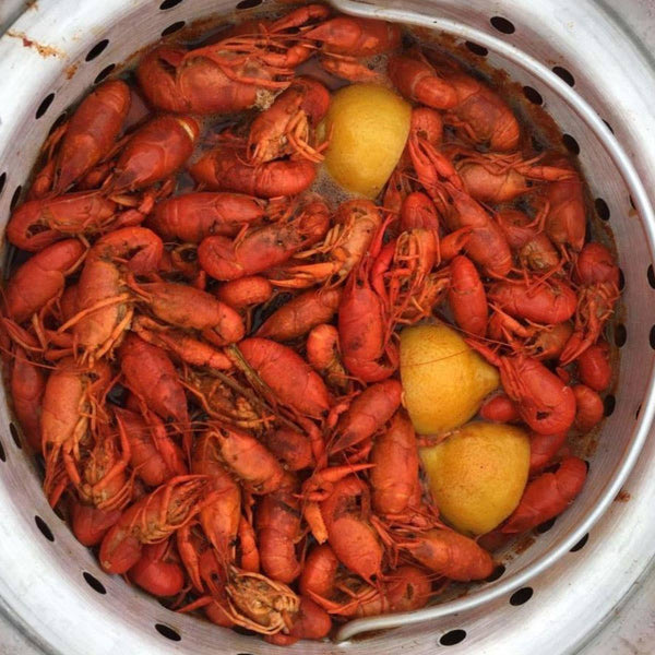 Napalm Crawfish & Seafood Boil™ - Bold Cajun Flavor