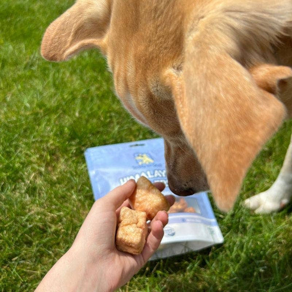 Himilayan Cheese Puff Treats