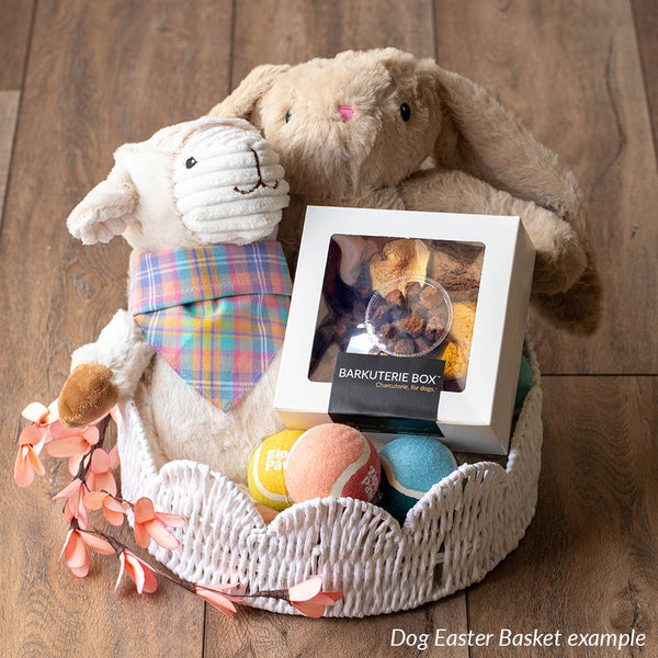 Dog Charcuterie / Barkuterie Treat Box, 3 sizes