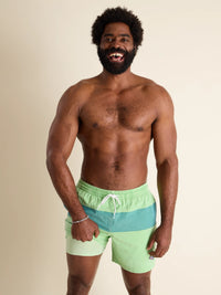 Chubbies board buddies swim trunk