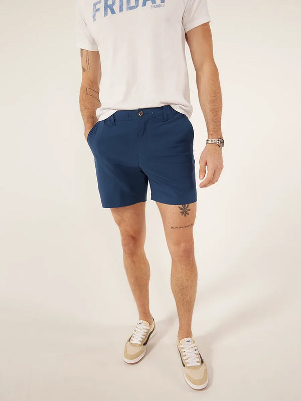 Chubbies new avenues shorts