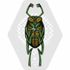 PWL/P VALLELY BUG 4.49x5.6"DECAL