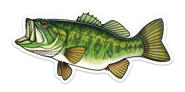 River Collective Co Largemouth Bass Sticker