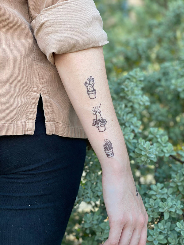 Potted Cactus Temporary Tattoo
