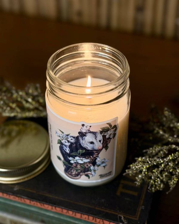 Opossums in the Dogwood Signature Soy Candle