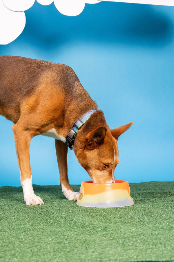 Aqua-Fur 1-Liter Silicone Dog Bowl - Arctic Sky