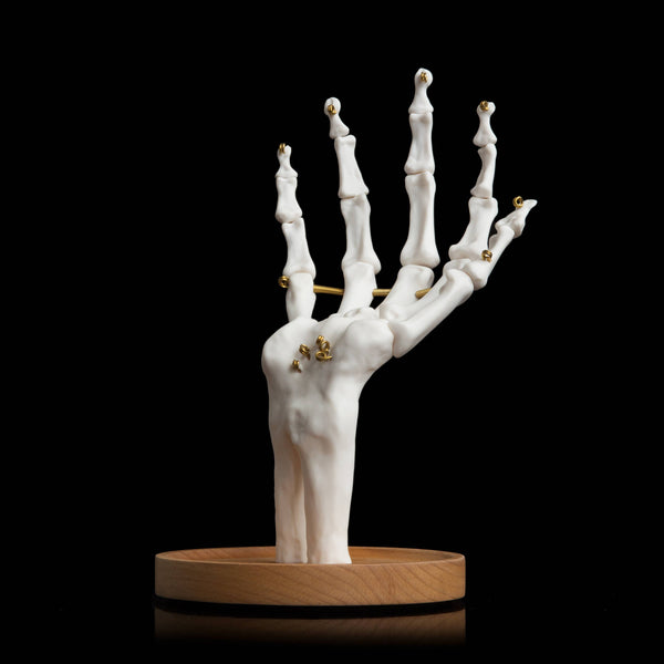 Skeleton Hand Jewellery Tidy