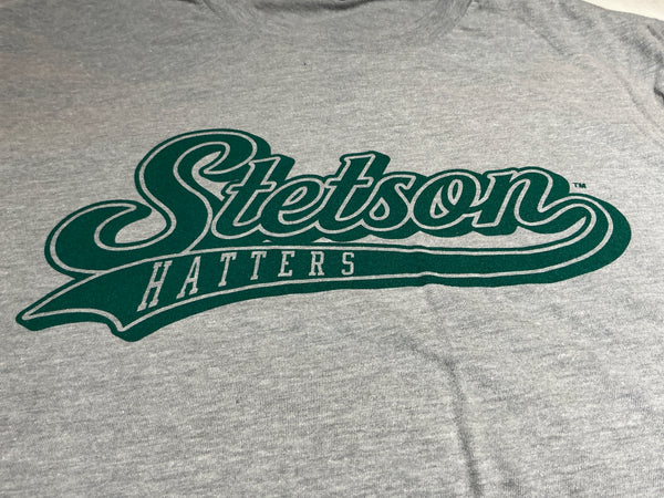 DeLand Apparel Company Stetson Swoosh Next Level Tshirt