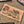 Born To Be Wild Sticker