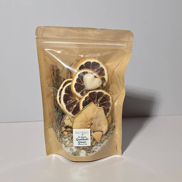 2025 Winter Simmer Pot