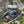 JavaSok - Realtree® Edge