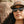 CAMP Trail Sunglasses - Fern