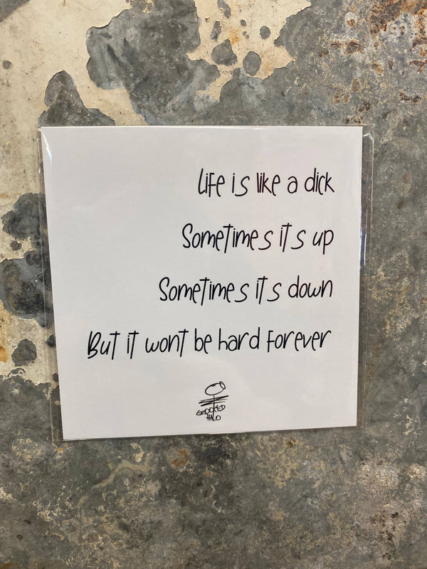 Life is Like a Dick Magnet