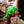 Chameleon 3D PaperCraft Origami Models