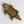 Crocodile Dish Antique Brass
