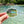 De Leon Springs Sticker