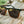 CAMP Ridge Sunglasses - Black/Tortoise