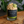 Caramel Apple Candle