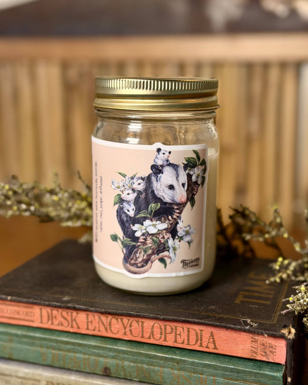 Opossums in the Dogwood Signature Soy Candle