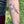 Praying Mantis Temporary Tattoo