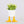 Small Duck Feet Planter