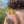 Monarch Butterfly Temporary Tattoo