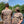 AF Waterfowl Old School Performance Short Sleeve Shirt