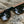 CAMP Ridge Sunglasses - Black/Tortoise