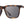 CAMP Ridge Sunglasses - Matte Tortoise