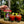 Donkey Punch Spicy Bloody Mary Mix