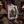 Antler Photo Frame