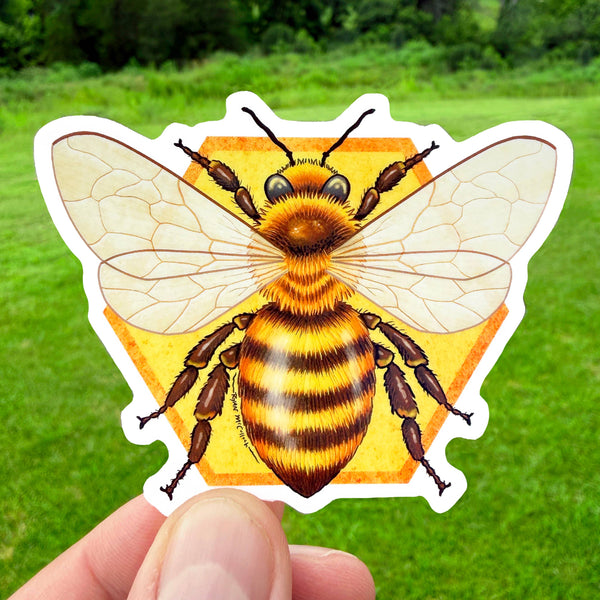 VINYL or GLITTER STICKER: Honey Bee (Honeycomb)