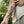 Blue Whale Temporary Tattoo