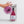 Scrubbly™ Wine Sponge - Cabernet