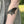 Black Swallowtail Butterfly Temporary Tattoo