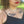Monarch Butterfly Temporary Tattoo