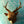 Gold Deer Head PaperCraft Origami Wall Art