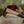 Smokey Bear x CAMP Cliff Sunglasses - Matte Black