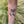 Hummingbird Temporary Tattoo