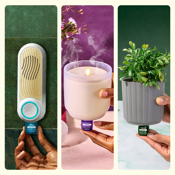 Essential Oil Blends ClickWick™ Refills  4-pk Discovery Set