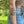 Golden Poppy Temporary Tattoo