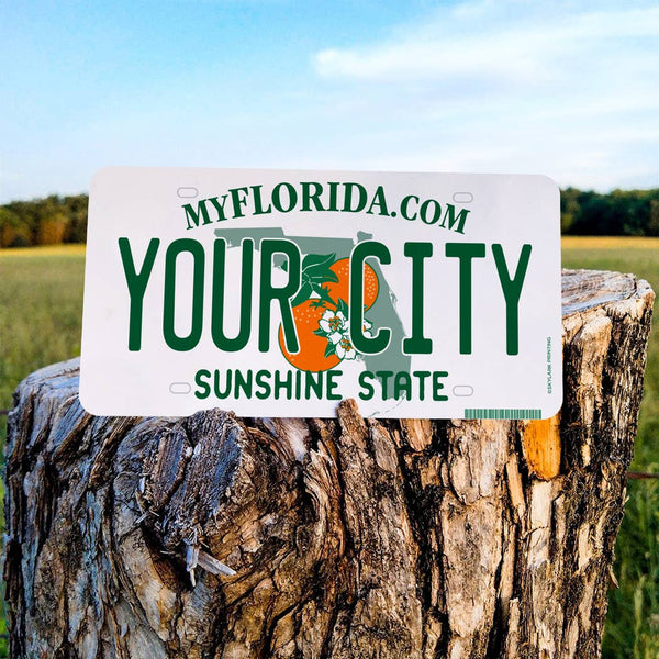 Florida License Plate Souvenir Sticker with DeLand