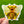 VINYL or GLITTER STICKER: Honey Bee (Honeycomb)