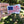Sportsman USA Flag Sticker 3” Vinyl Sticker