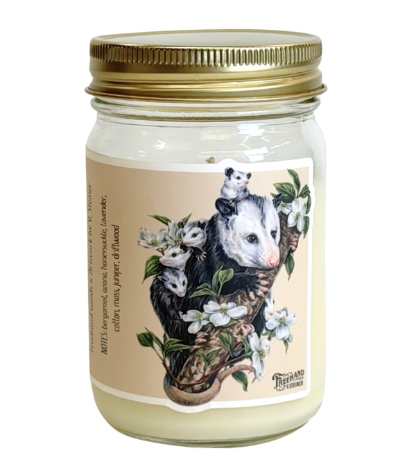 Opossums in the Dogwood Signature Soy Candle